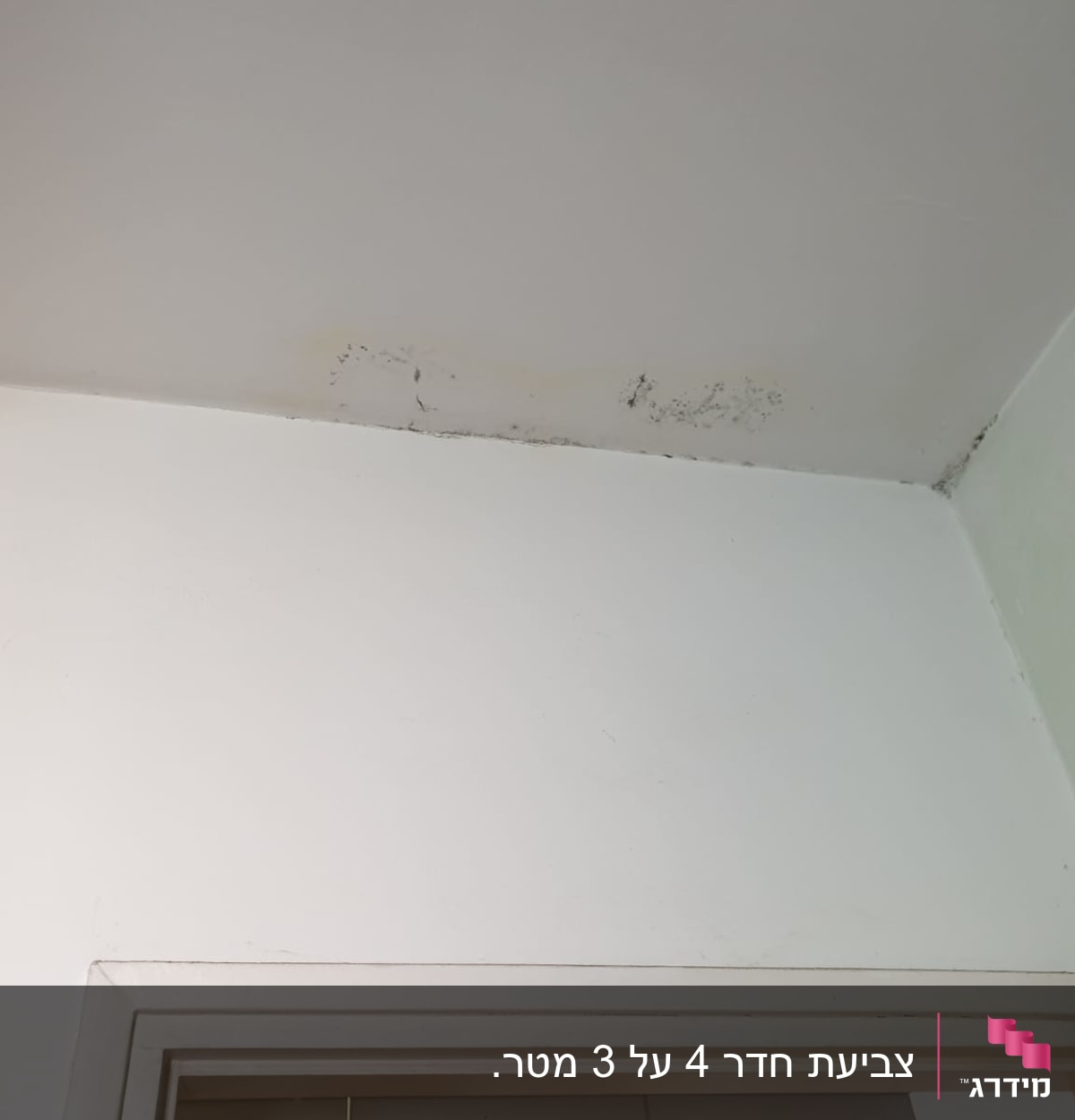 קיר עם סימני עובש ותקרה לבנה